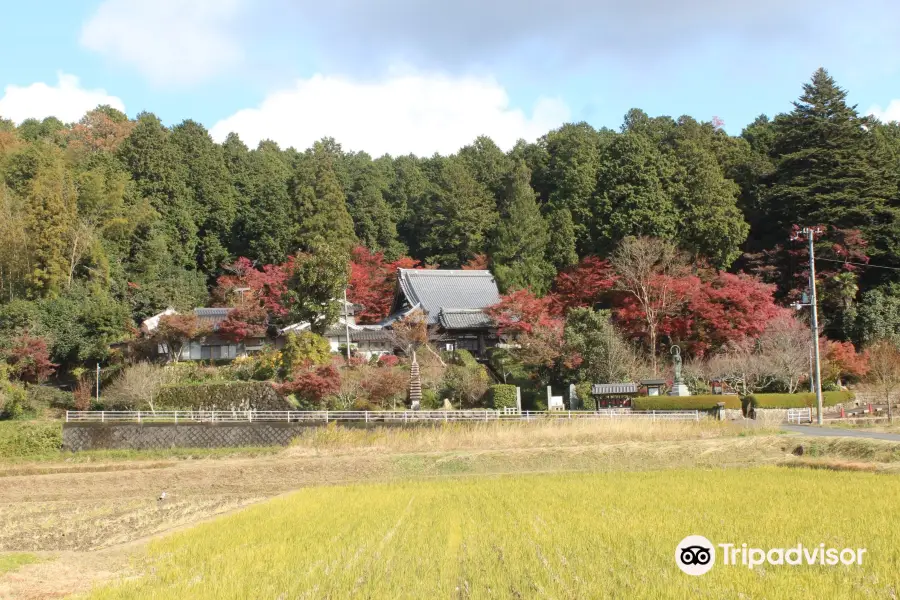 養泉寺