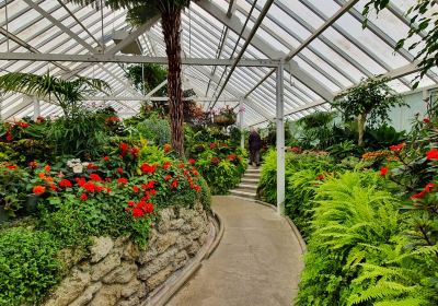 Wanganui Winter Garden