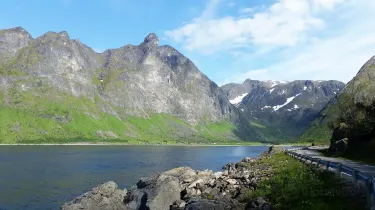 Berg