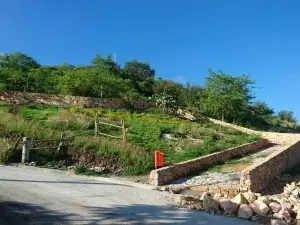 Mirador Jonacatepec