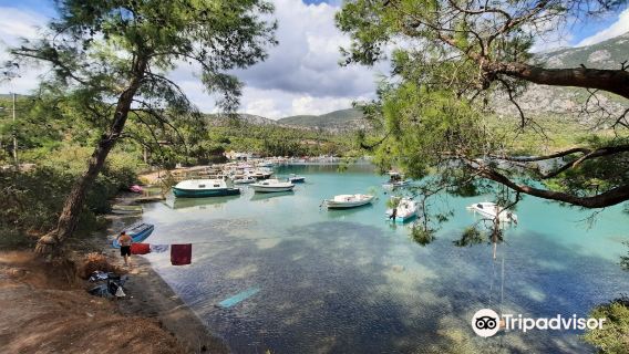 Akbuk Cove