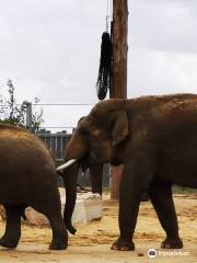 La Tanière - Zoo refuge