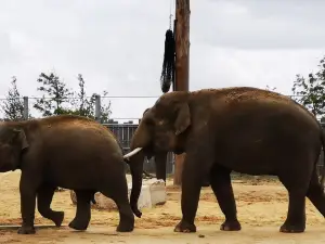 La Tanière - Zoo refuge