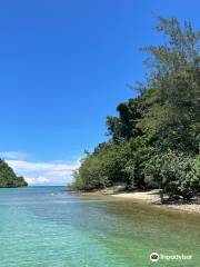 東姑阿都拉曼海洋公園