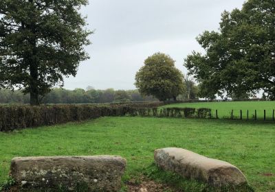 Menhirs dÉpoigny