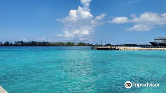 Pig Beach
