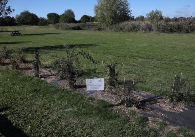 Pole-nature of the Marais Poitevin