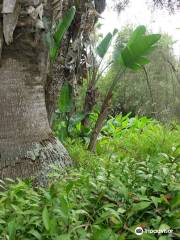 Les Jardins Exotiques de Bouknadel