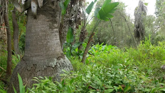 Les Jardins Exotiques de Bouknadel