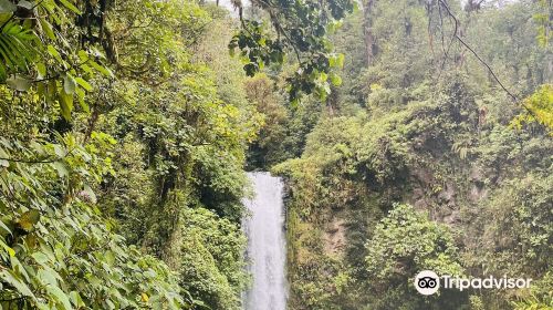 La Paz Waterfall and Peace Lodge Gardens