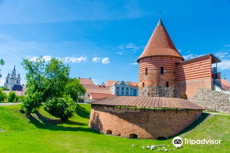 Kaunas Castle