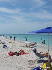 Manatee Public Beach