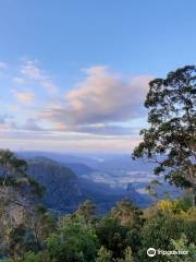 Bellbird Lookout & Circuit