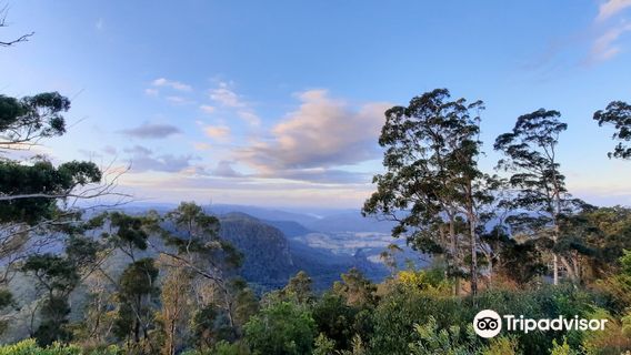 Bellbird Lookout & Circuit