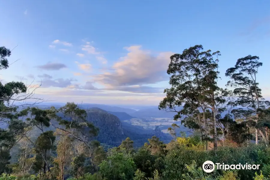 Bellbird Lookout & Circuit