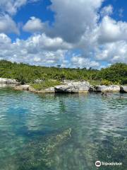 Cenotes and Paradise Lagoon by Cancun Adventures