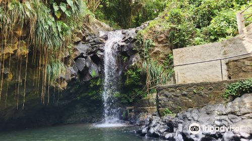 Annandale Waterfall & Forest Park