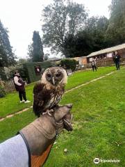 The Falconry Centre