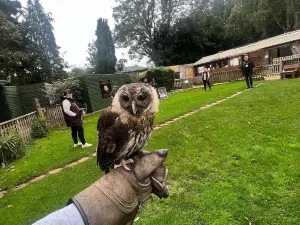 The Falconry Centre