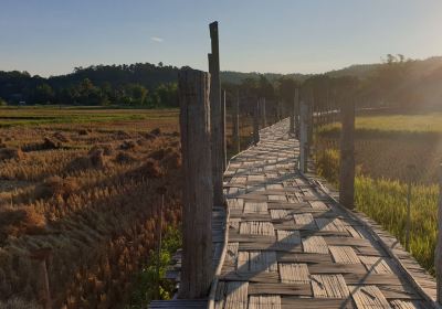 Sutongpe Bridge