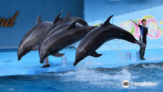 Minamichita Beach Land