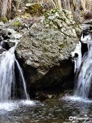 Caledonia Waterfalls