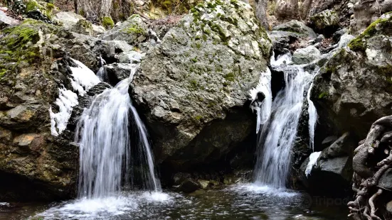 Caledonia Waterfalls