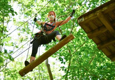 Bristol Mountain Aerial Adventures