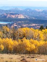 Larb Hollow Overlook