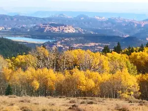 Larb Hollow Overlook