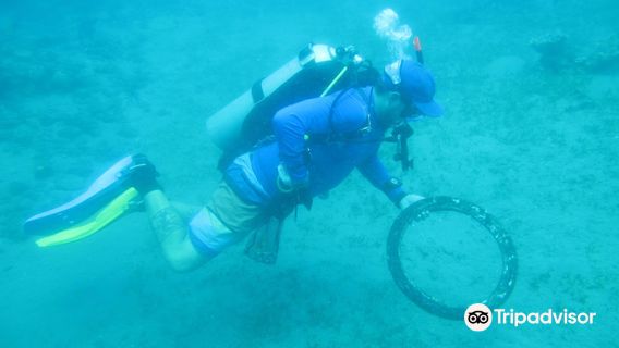 Instructor Development Philippines