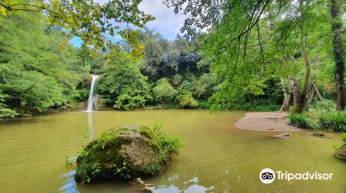 Gorg de Santa Margarida