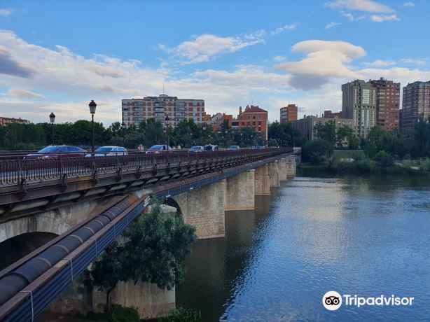 Puente Mayor
