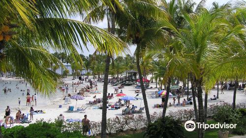 Matheson Hammock Park & Marina