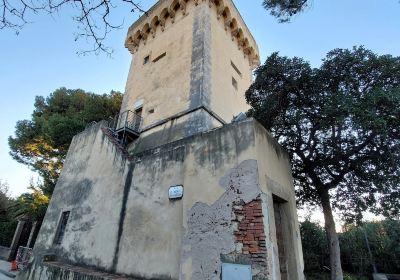 Torre Medicea