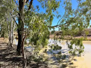Cunnamulla Conservation Bushlands
