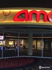 AMC Newport Centre 11