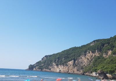 Bartin Merkez
