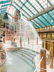 Wild Bear Falls Water Park