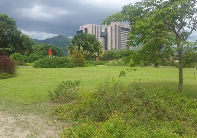 Naguanagua Botanical Garden