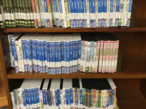 International Falls Public Library