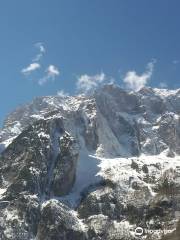 Foresta Millenaria di Tarvisio