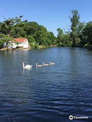 Avalon Nature Preserve