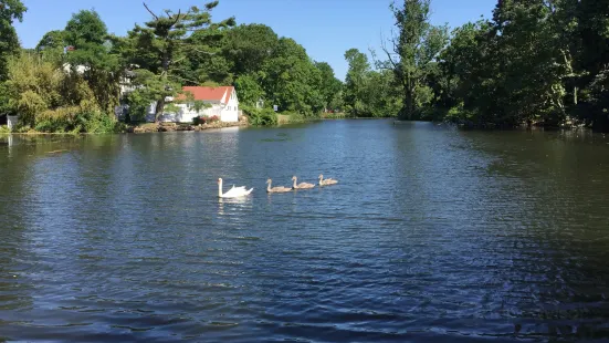 Avalon Nature Preserve