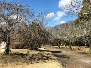 Akogigaura Park