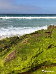 Pinnacles Beach