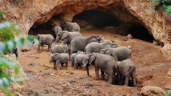 Elephant Caves