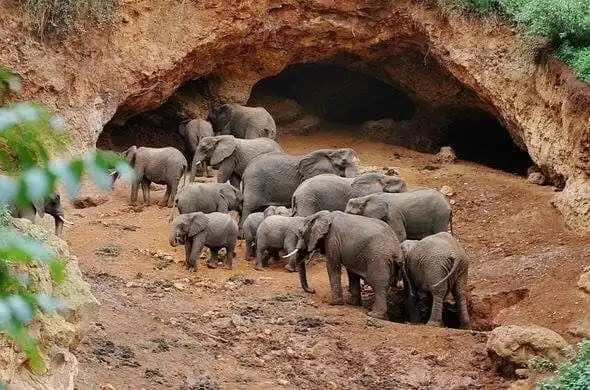 Hotels near Elephant Caves