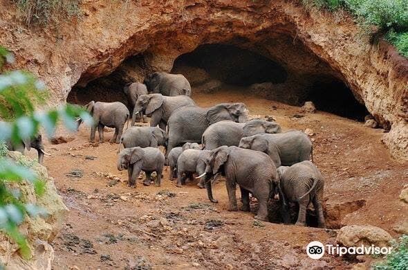 Elephant Caves