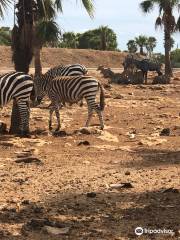 Safari Zoo Mallorca